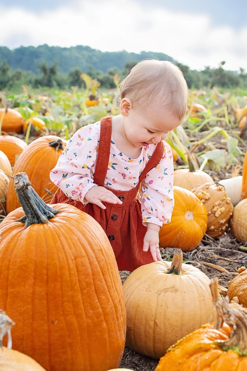 Upcycled Pumpkin Decor